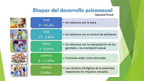 PsicologÍa Evolutiva Etapas Del Desarrollo Teoria De Freud Imagenes