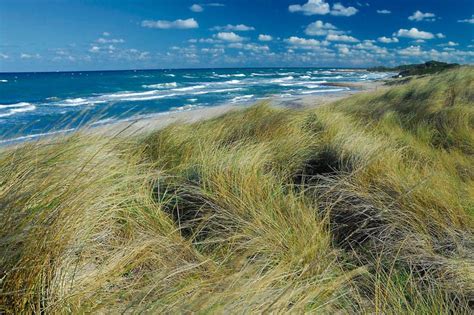 Italia Nostra Difendiamo Le Dune Costiere In Puglia