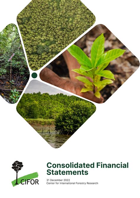 Institutional Documents CIFOR ICRAF