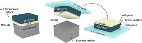 principle   impetus project approach  inverted metamorphic