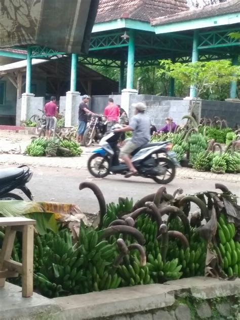 tabloid aktual dua fungsi pasar agro senduro pasir  pisang