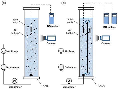 Relative Effect Of Additional Solid Media On Bubble Hydrodynamics In