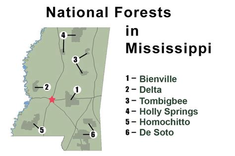 National Forests In Mississippi About The Forest Mississippi National Forest National