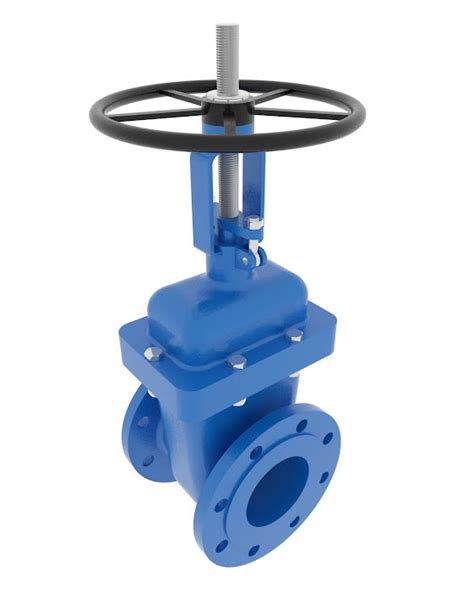 Gate Valve Dn80 Pn16 Nor Am Management Llc