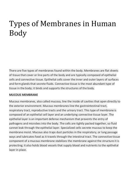 Types of membranes in human body