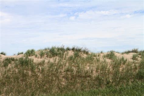 Sand Dune With Grasses Stock Photo Image Of Background 57993494