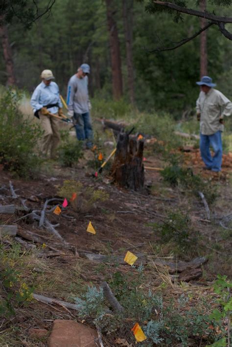 "That Stump Can Stay" | Work Day on the Pine Trail psfuelred… | Flickr