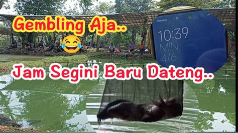 Umpan Dadakan Mancing Harian Ikan MasDatang Siang YouTube