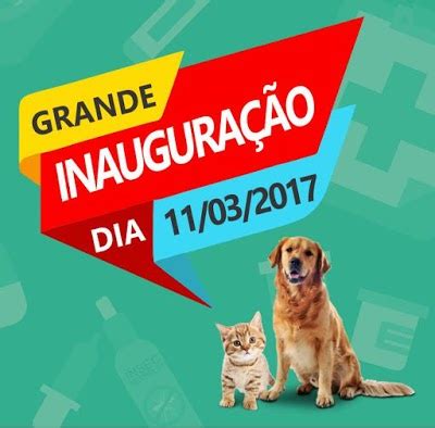 AMO CLÍNICA VETERINÁRIA em Feira de Santana BA LateMia net br