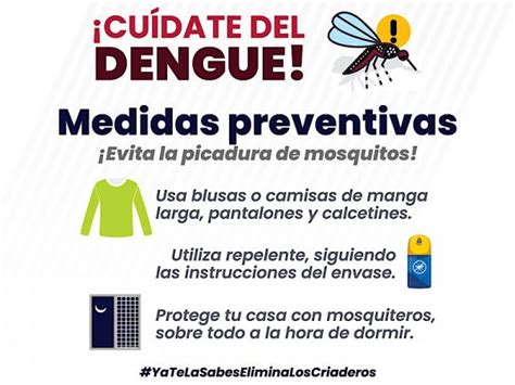 Reporta Salud Nuevos Contagios Por Dengue En Puebla Reporte Salud