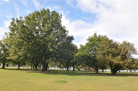 Ferry Point Park : NYC Parks