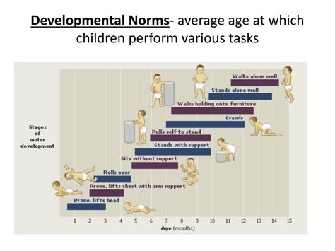 Definition Of Developmental Norms Definitoin Hot Sex Picture