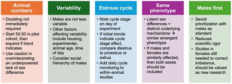 The Promise And Practicality Of Addressing Sex As A Biological Variable