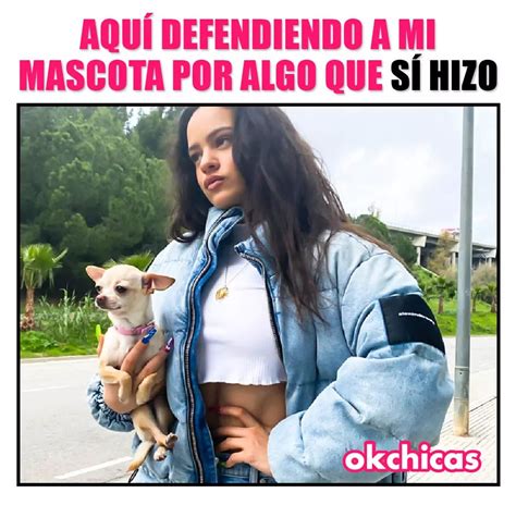 Aquí Defendiendo A Mi Mascota Por Algo Que Sí Hizo Memes