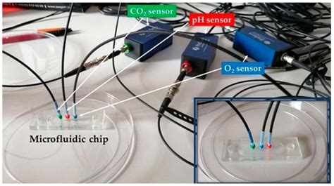 Applied Sciences Free Full Text Microfluidic Platform For