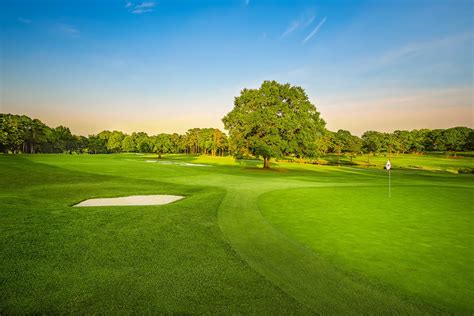 Country Club Golf Course Charlotte NC | Pine Island