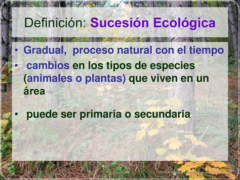 Cambios en los Ecosistemas Sucesión Ecológica Capitulo ppt descargar