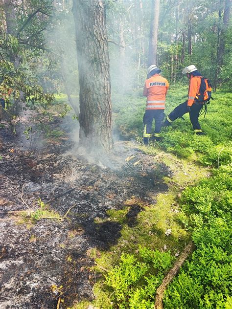 FW Celle Feuer Im Unterholz In Westercelle Presseportal