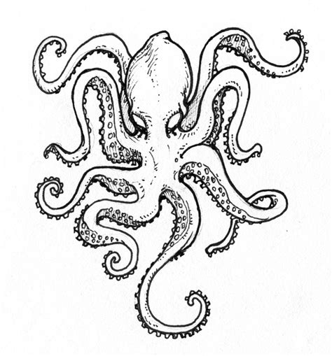 The best free Kraken drawing images. Download from 116 free drawings of ...