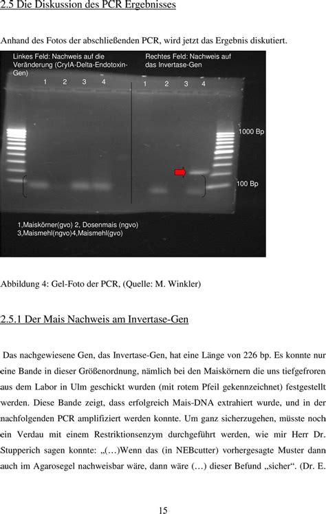 Der Molekularbiologische Nachweis Von Gentechnisch Ver Ndertem Mais