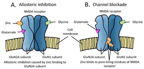 pharmaceuticals special issue nmda receptor based therapeutics