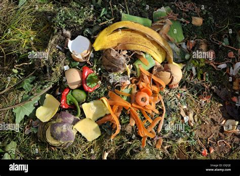 Kitchen Waste Hi Res Stock Photography And Images Alamy