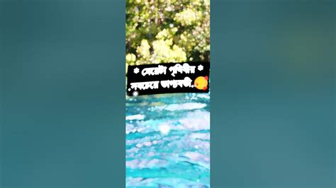 🌹🥀একটা ছেলে যদি একটা মেয়ের জন্য কাঁদে তাহলে ভেবে নিও মেয়েটা পৃথিবীর