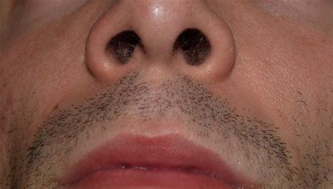 How The Human Nose Works Sciencing