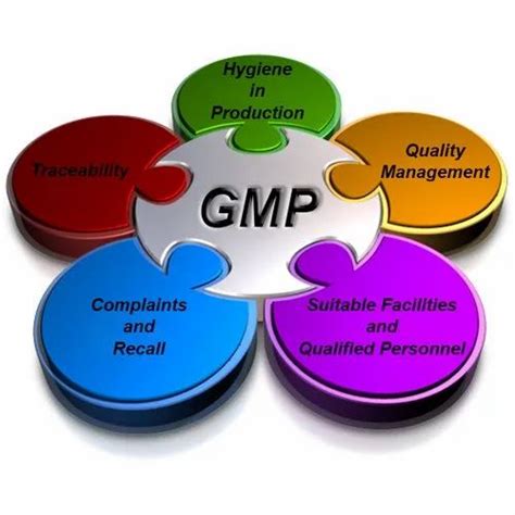 Gmp Certification Service At Rs 100 In New Delhi Id 20484154088