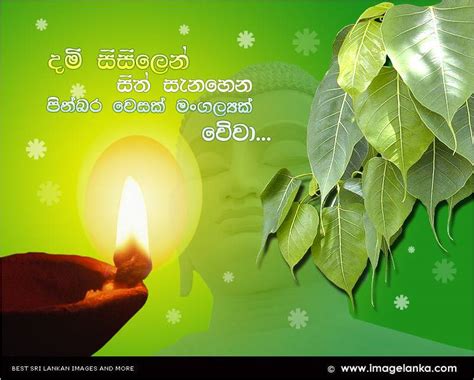 පින්බර වෙසක්!