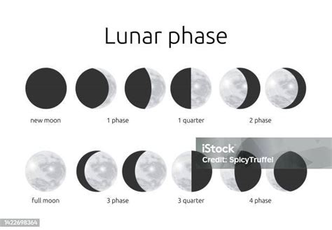 Setengah Dan Lingkaran Fase Bulan Kalender Astrologi Bulan Sabit