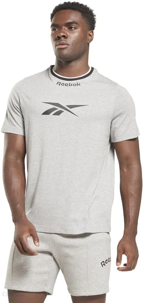 Męska Koszulka z krótkim rękawem Reebok RI Arch Logo Vector Tee Hs9430