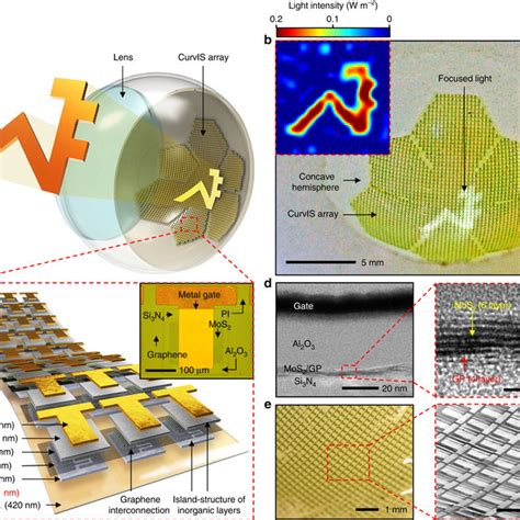 High Density Curved Image Sensor Array Based On The Mos2 Graphene Download Scientific Diagram