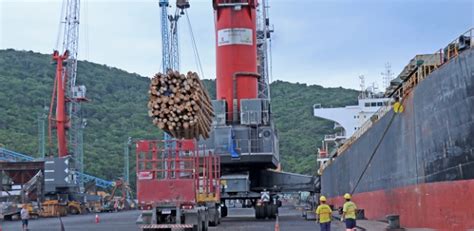 Porto de Imbituba realiza maior embarque de madeiras do país Economia