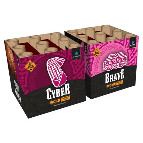 Cyber Brave Ivo Reinders Vuurwerk