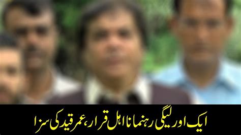 Court Sentences Hanif Abbasi To Life Jail In Ephedrine Quota Case