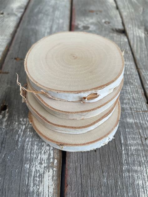 White Birch Slice Set Of 4 Kiln Dried Natural Birch Tree Rounds