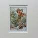 Flower Fairy Mounted Vintage Print 1930s Pine Tree CICELY Etsy