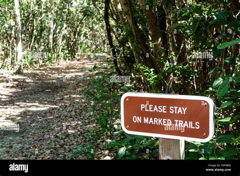 Key Largo Florida Keysdagny Johnson Key Largo Hammock Botanical State