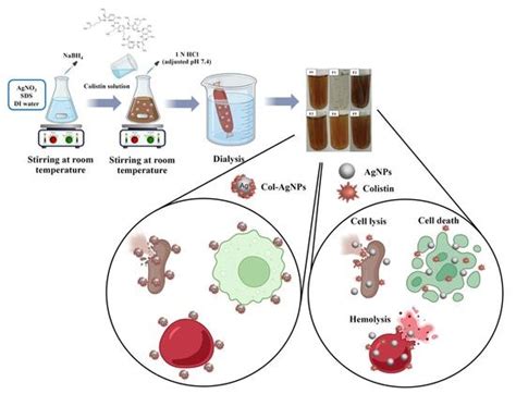 Molecules Free Full Text Silver Nanoparticles Conjugated With