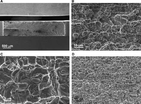 General View Of The Fracture Surface A Intergranulartransgranular