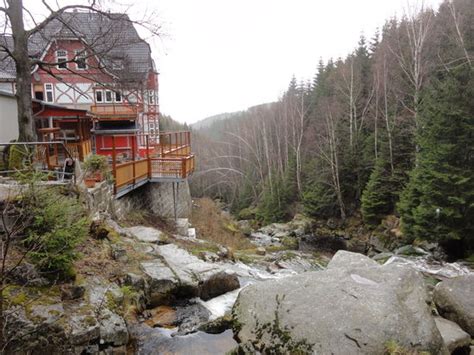 WALDGASTHAUS UND HOTEL STEINERNE RENNE, Wernigerode - Restaurant ...