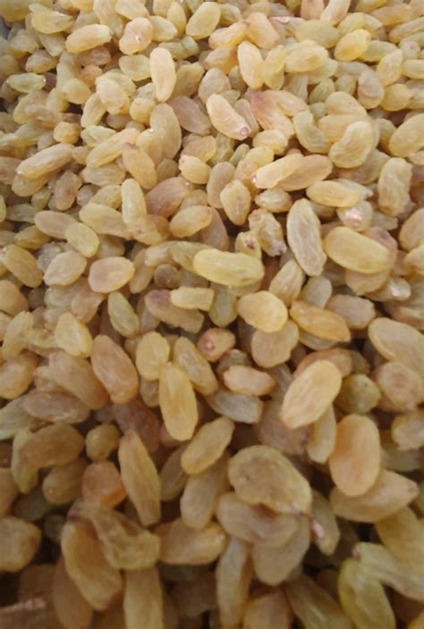 Golden Dried Raisins At Rs Kg Dried Raisin In Jaipur Id