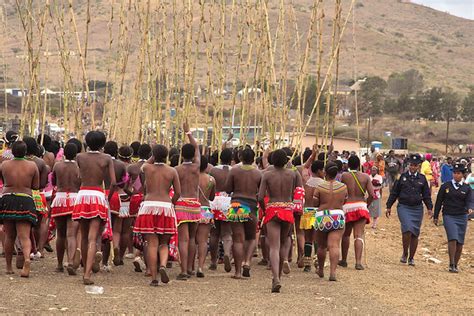 More about Reed Dance Ceremony | TravelGround