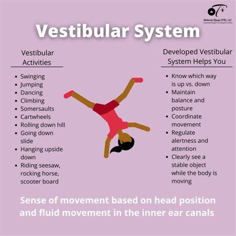 Vestibular System vs Proprioception - Pass The OT