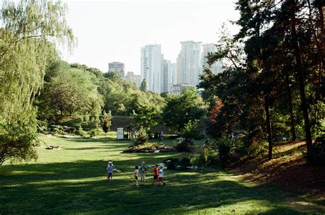 Forest Based Solutions For Enhancing Quality Of Life In Cities Cities