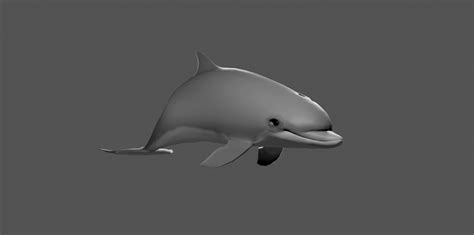 Artstation Dolphin 3d Model