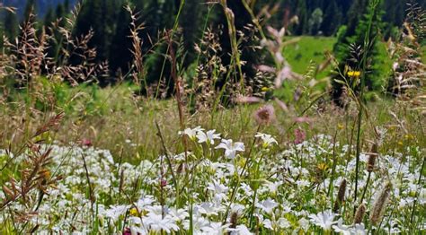 Crvena Greda Hiking Tour Montenegro Travel Agency Adria Line