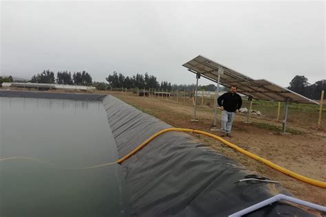 Con Nuevo Tranque Habilitaci N De Pozo Y Paneles Solares Mejoran Riego