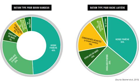 Quelle Est La Ration Alimentaire D Un Adolescent